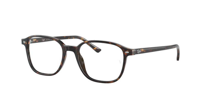 LEONARD OPTICS 3