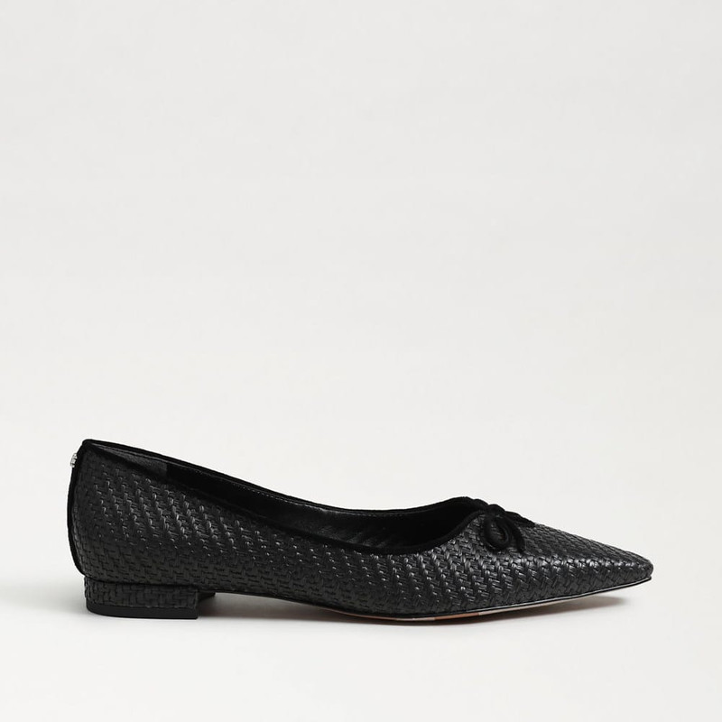 Esmira Pointed Toe Ballet Flat 1