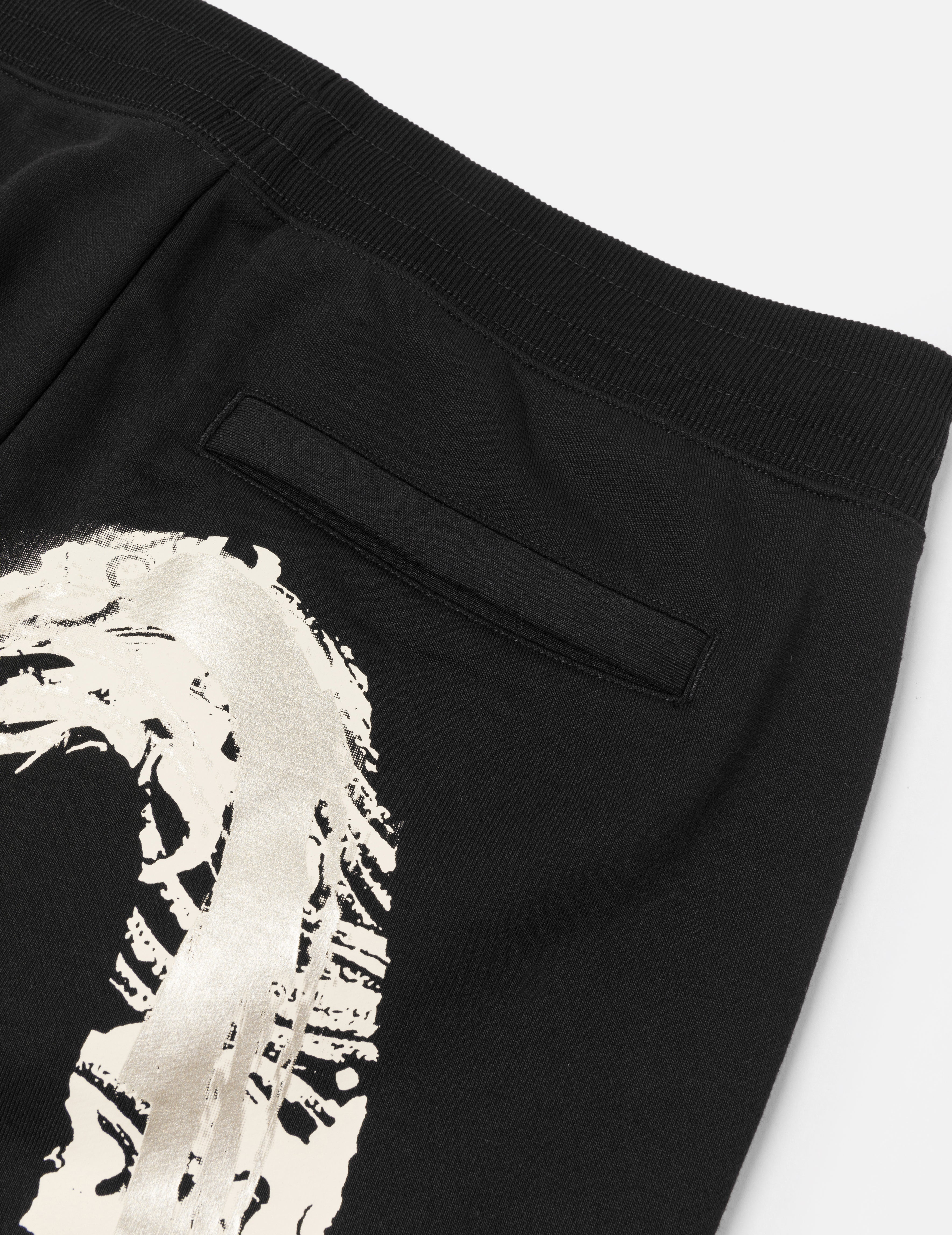 Artistic Brush Daicock Print Regular Fit Sweatshorts - 6