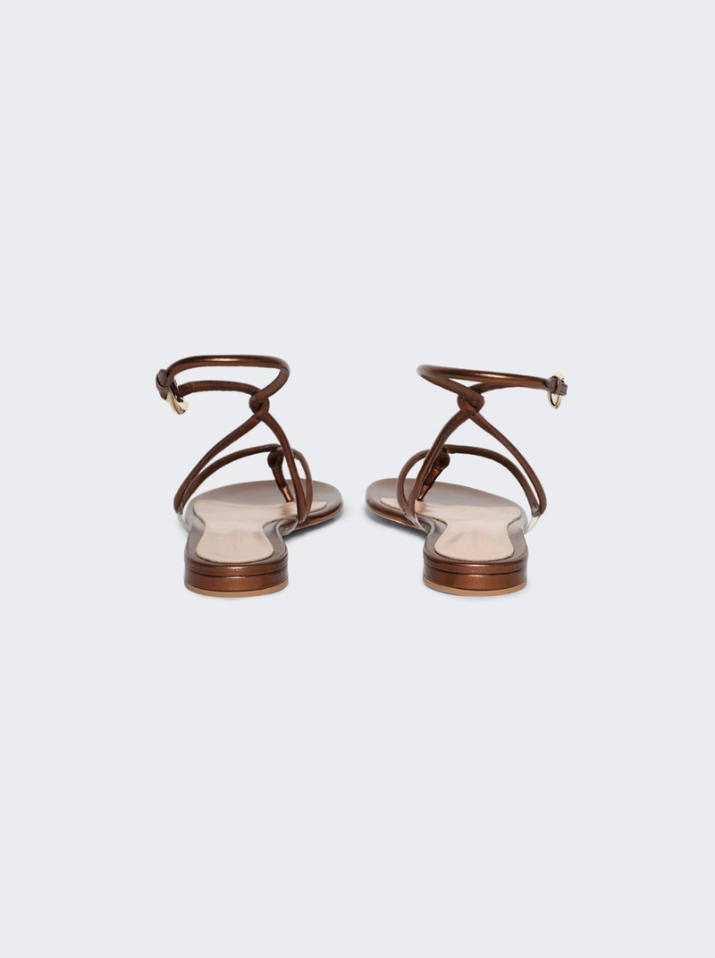 Black Mamba Flat Chocolate 4