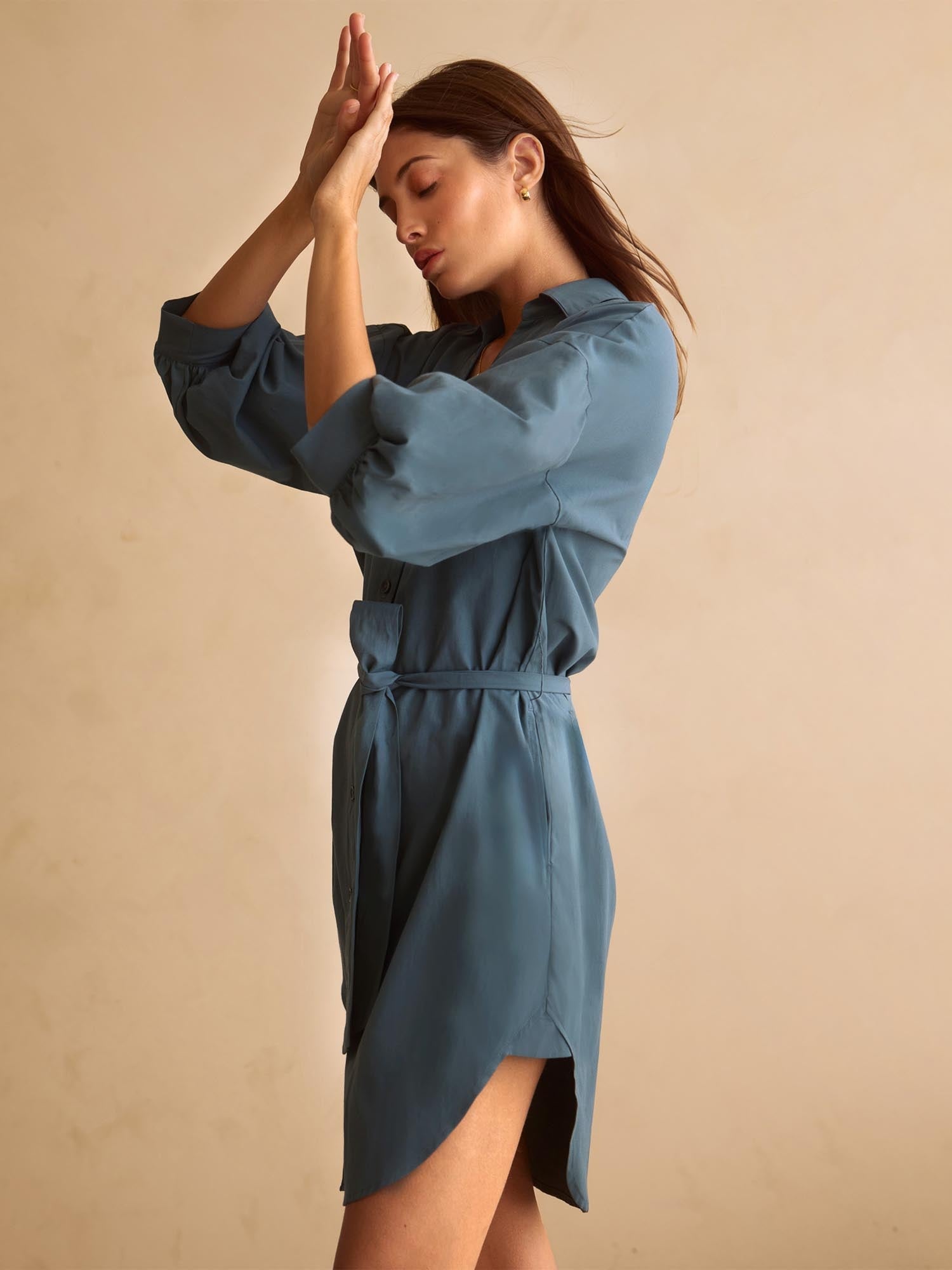 The Kate Belted Dress - 3