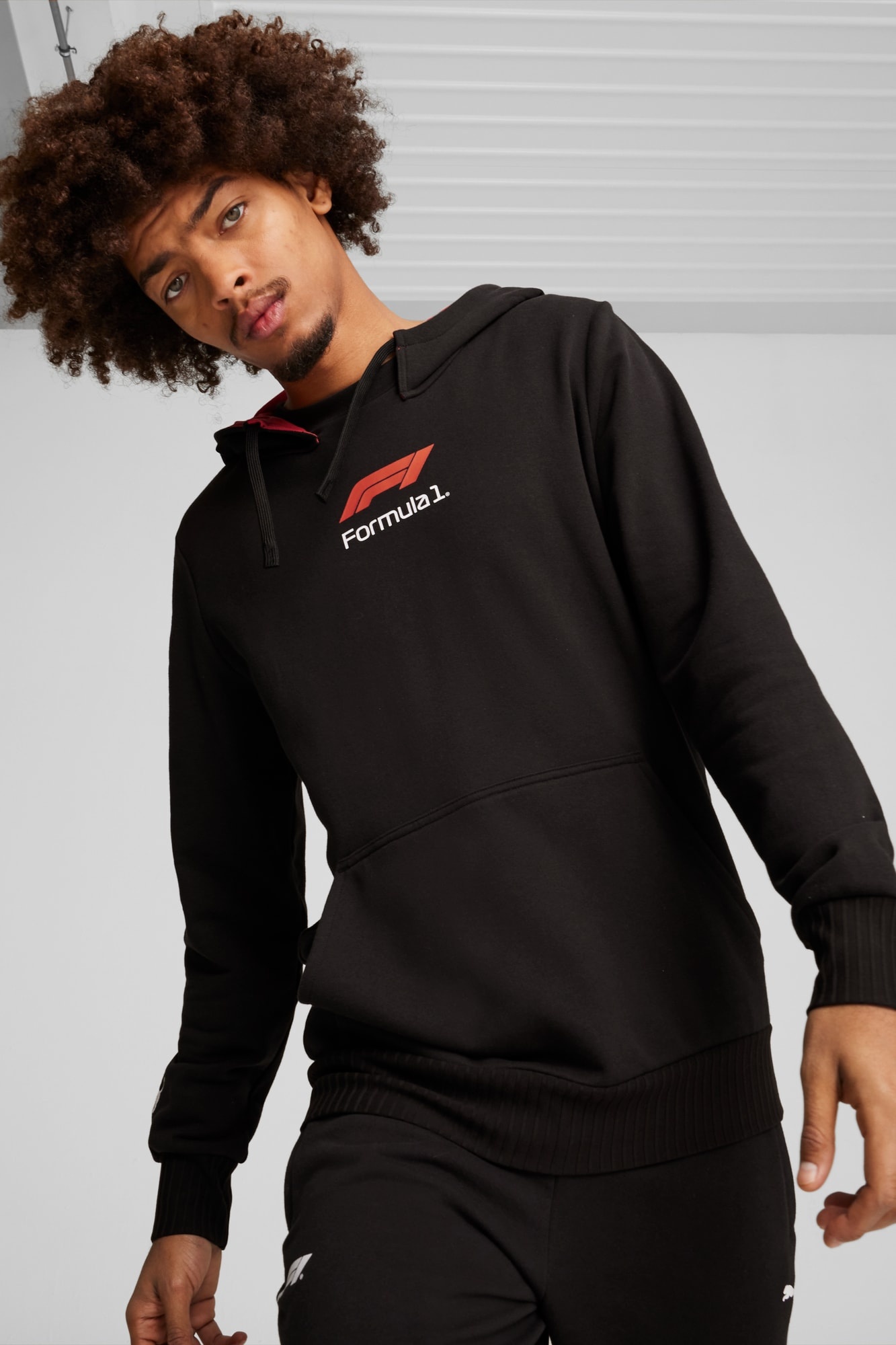 F1® Men's Graphic Hoodie - 3