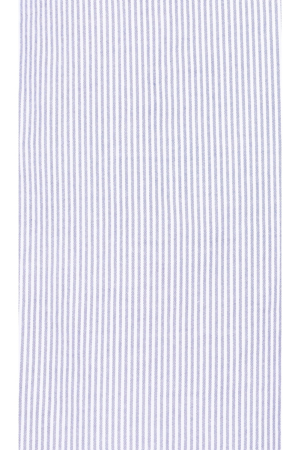 B.D Oxford Candy Stripe - 3