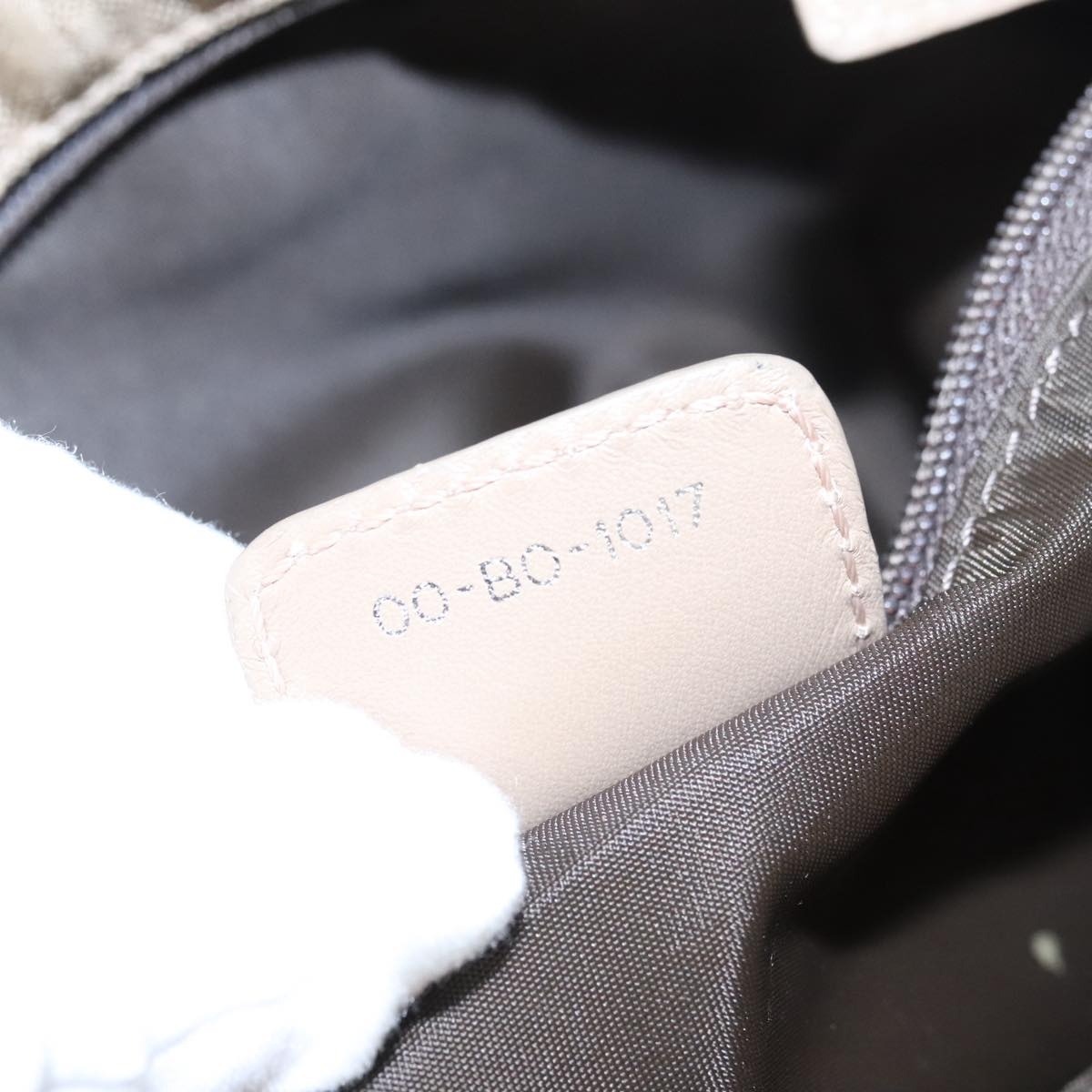DIOR Trotter Canvas Tote Bag Beige Silver - 12
