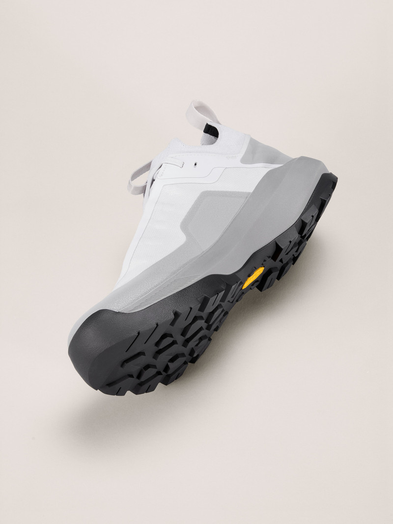 Vertex Alpine GTX Shoe 5
