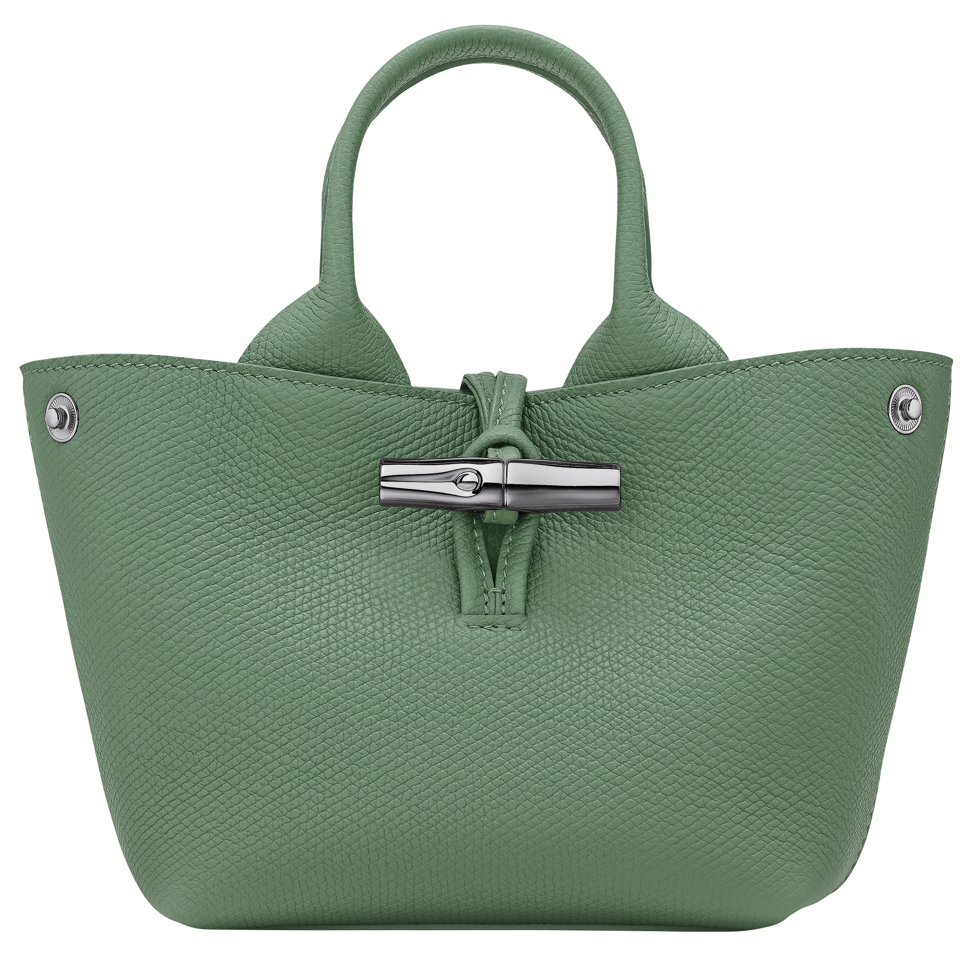 Le Roseau XS Handbag Oregano - Leather - 5