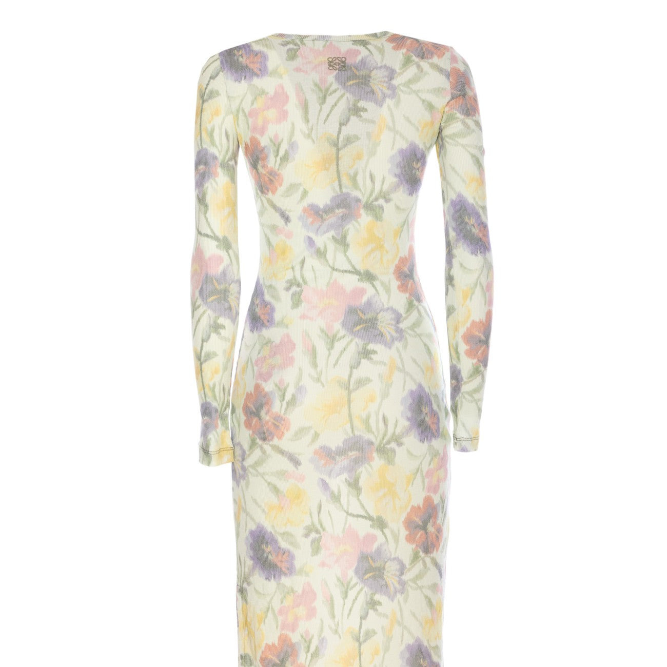 Loewe Women Morning Glory Print Cotton And Silk Multicolor Dress - 2