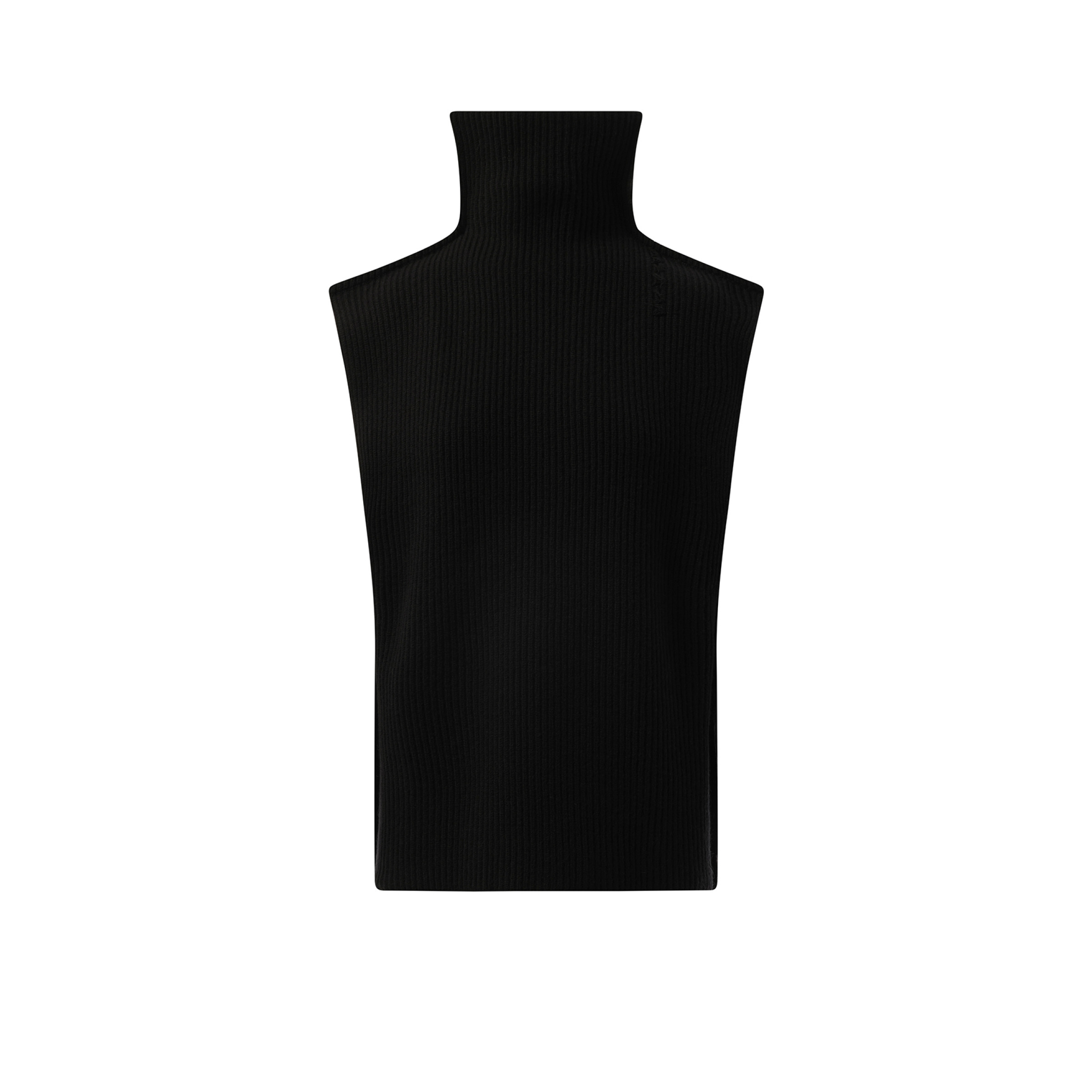 Sleeveless Turtleneck Sweater in Black - 2