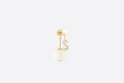 Dior My ABCDior Tribales Letter S Earring outlook