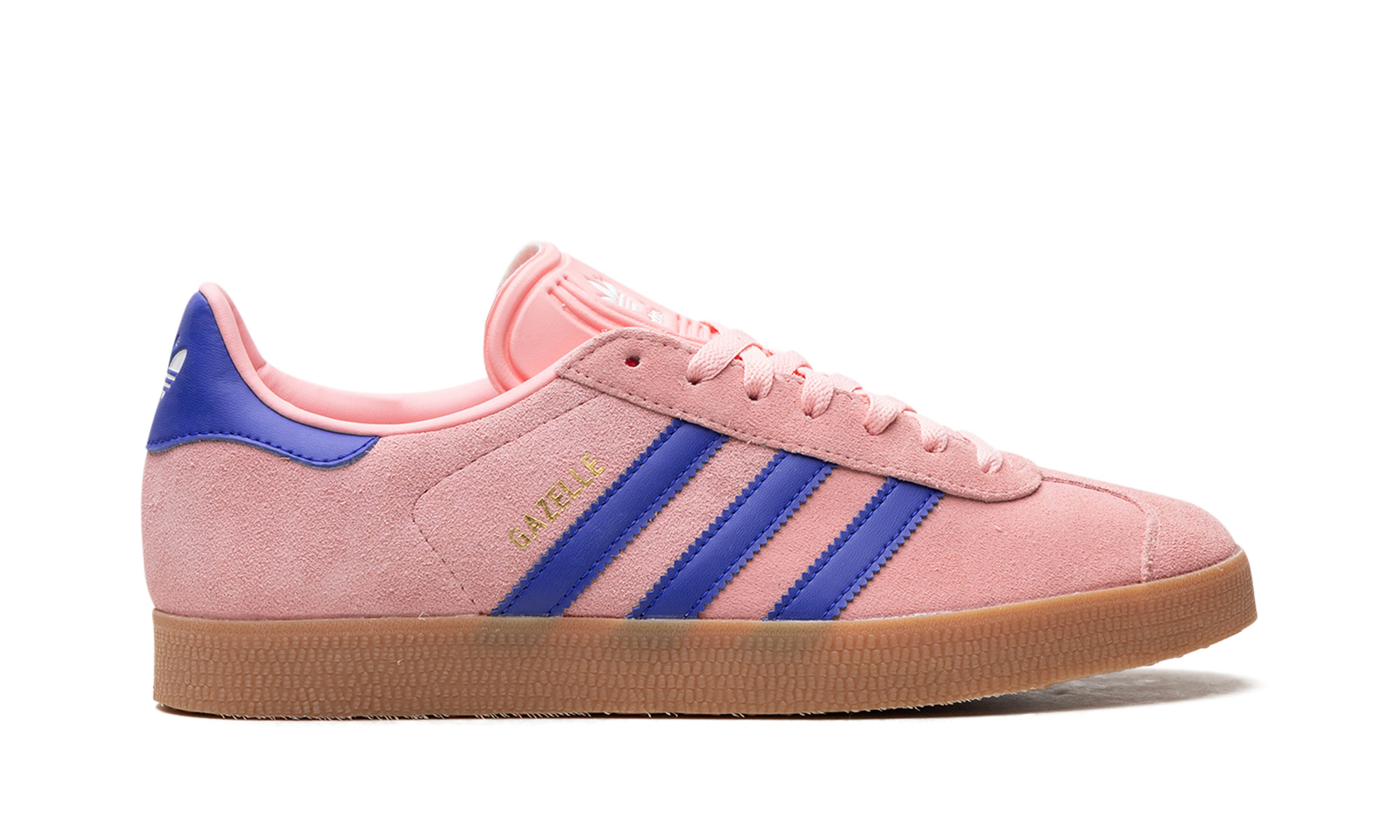 Gazelle - 6
