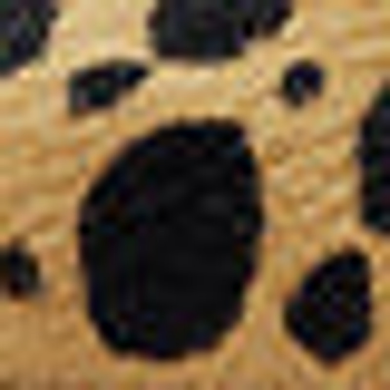 Liza Leopard Pumps 7