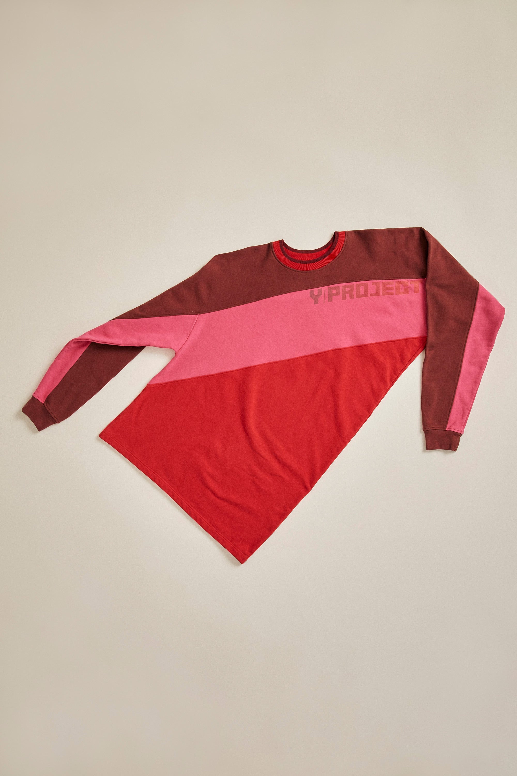 Twisted Y/Project Sweatshirt - 4