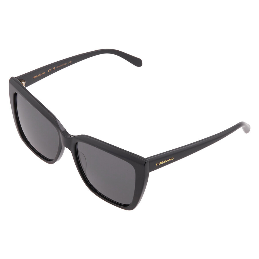 Ferragamo Dark Grey Cat Eye Ladies Sunglasses SF1102S 001 58 - 3