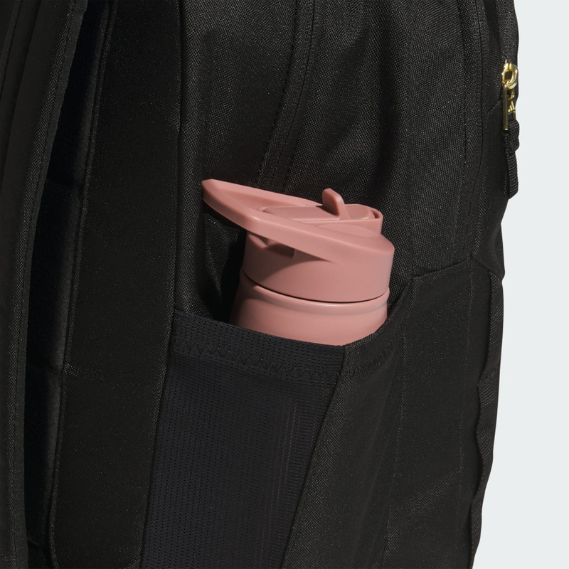 Amplifier Backpack 5