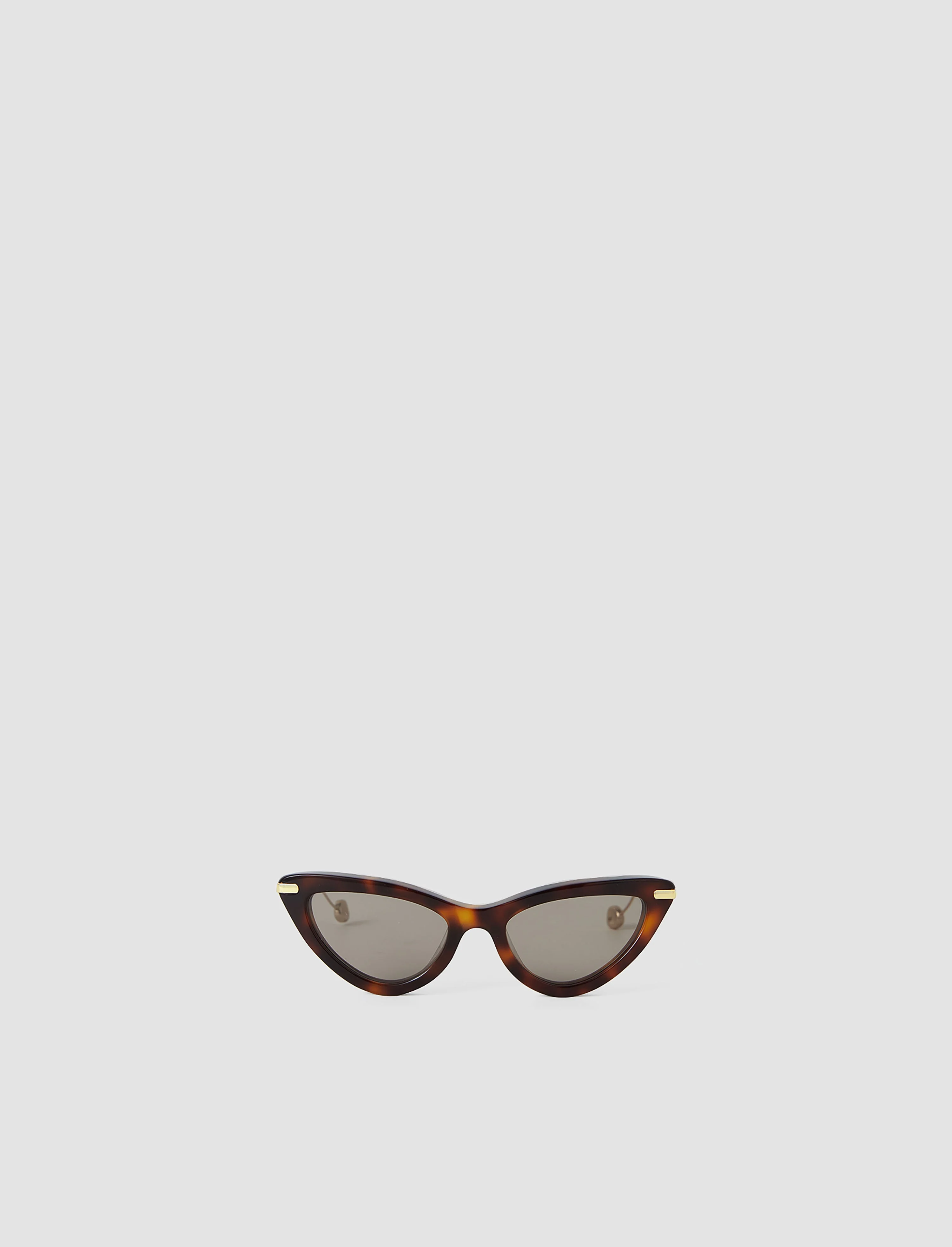 Laarous Cat Eye Sunglasses - 1
