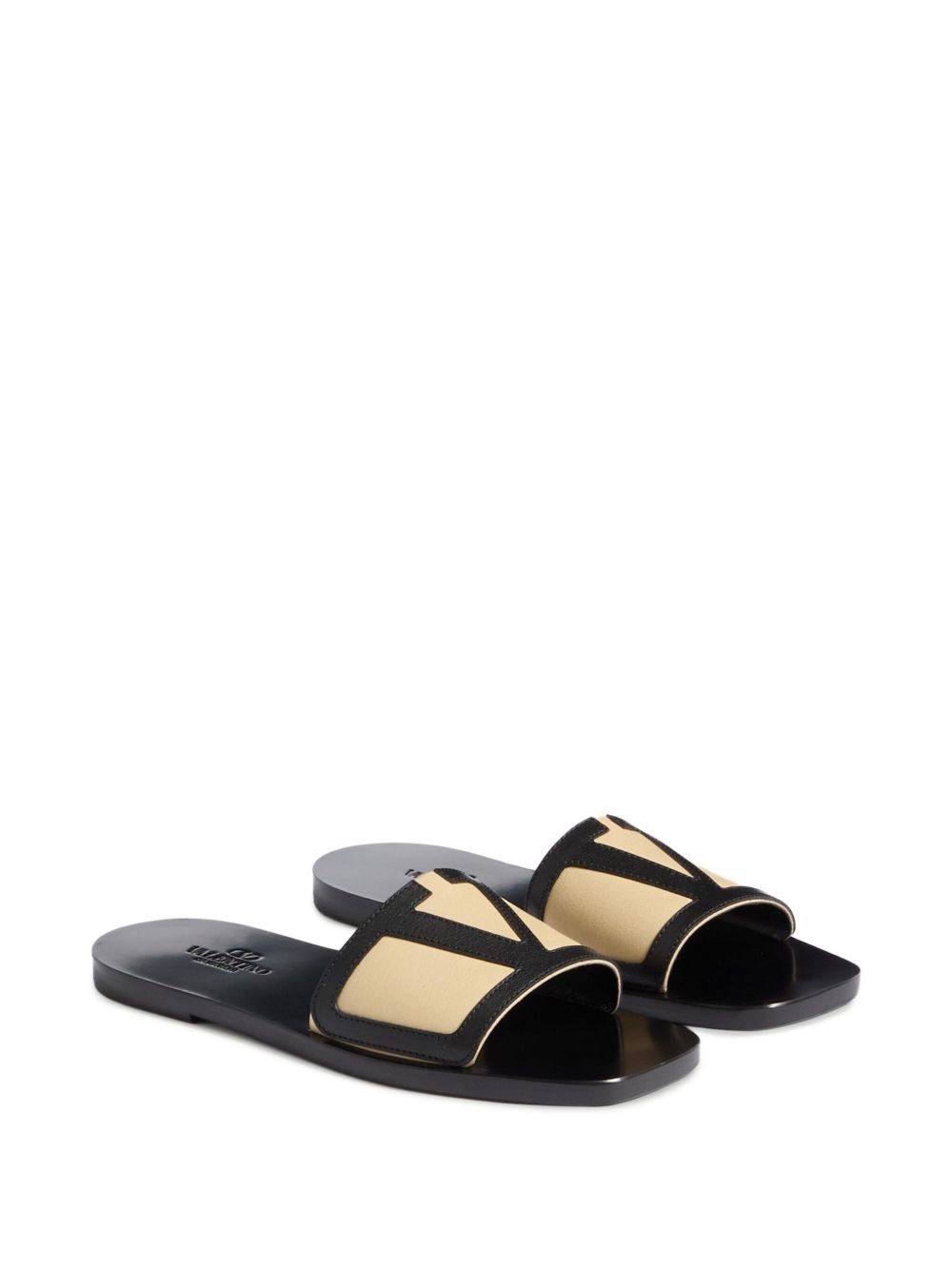VLogo Signature slides - 2