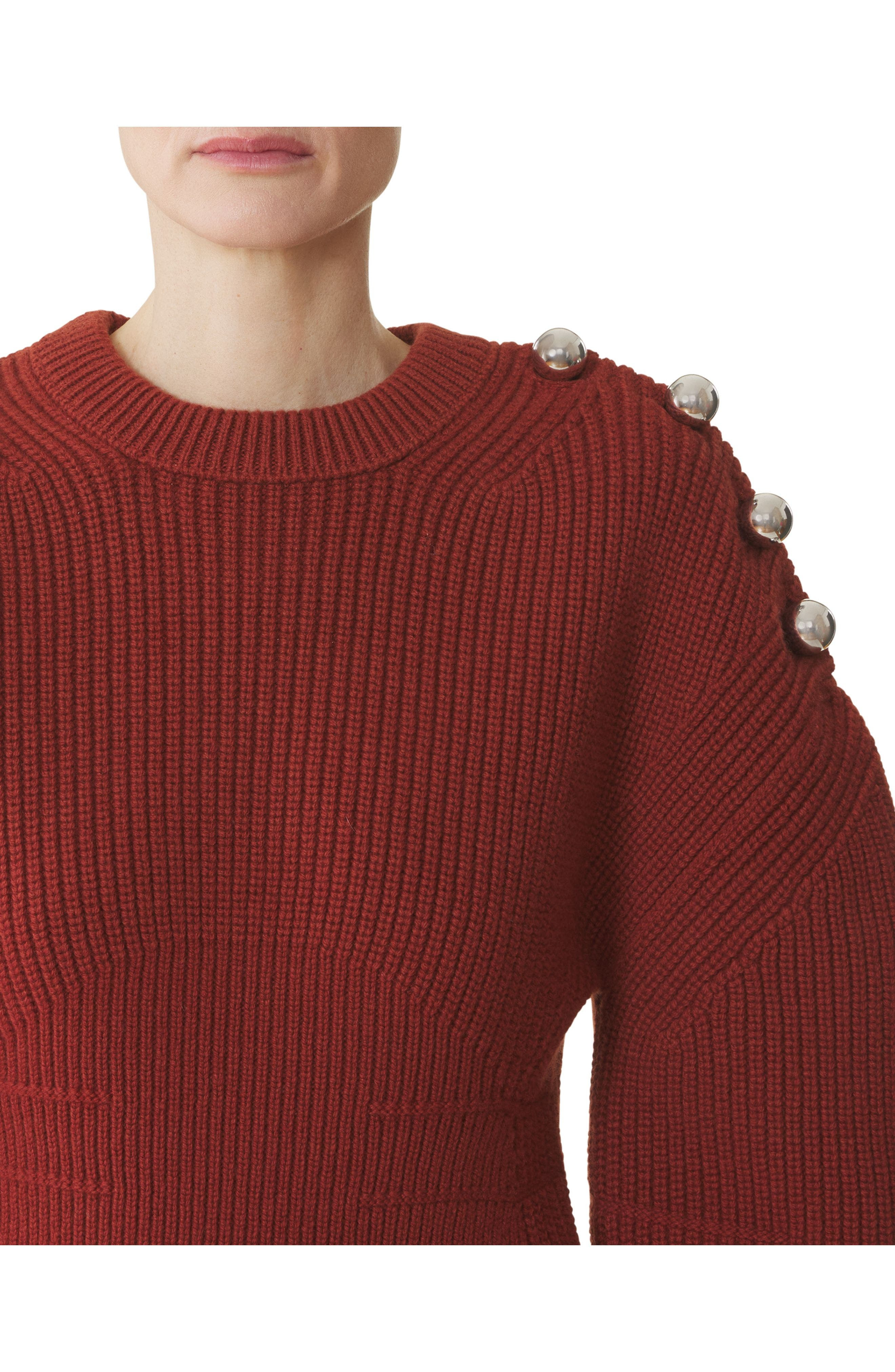 Lanvin Wool Ribbed Sweater in Chestnuts at Nordstrom - 5
