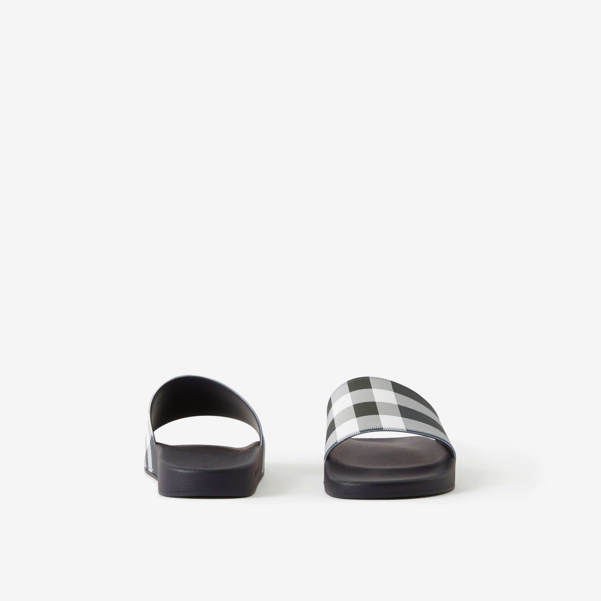 Check Print Slides - 4