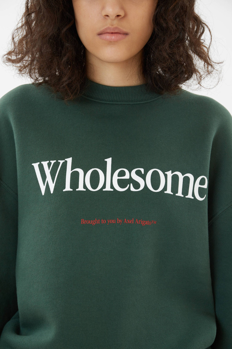 Axel Arigato Wholesome Sweatshirt outlook