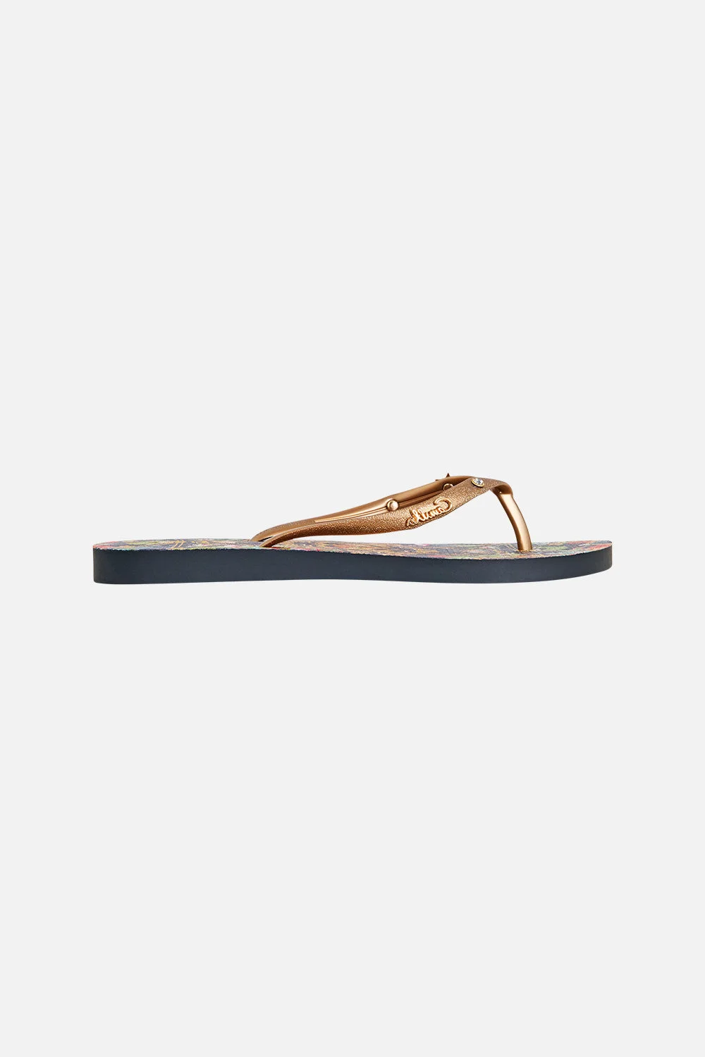 THONGS PALACE ZOOLOGY - 1