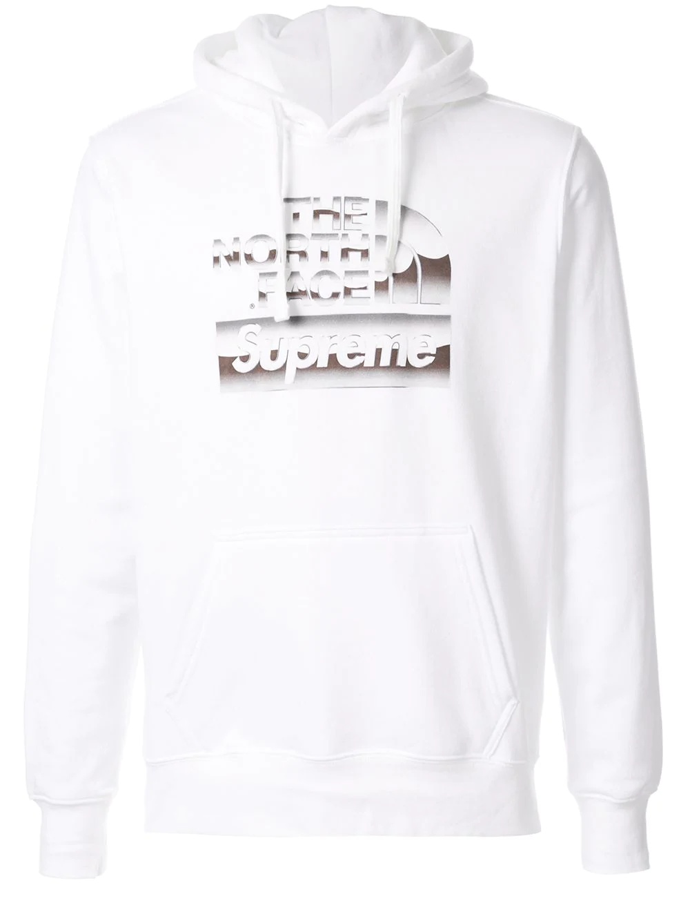 tnf metallic hooded sweatshirt - 1