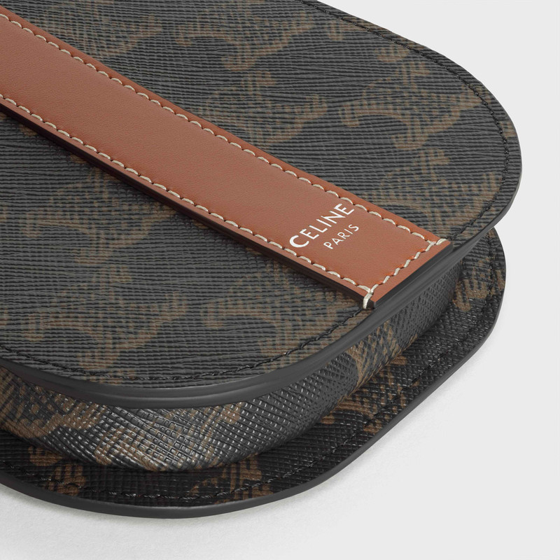 Phone Pouch in Triomphe Canvas and Calfskin 5