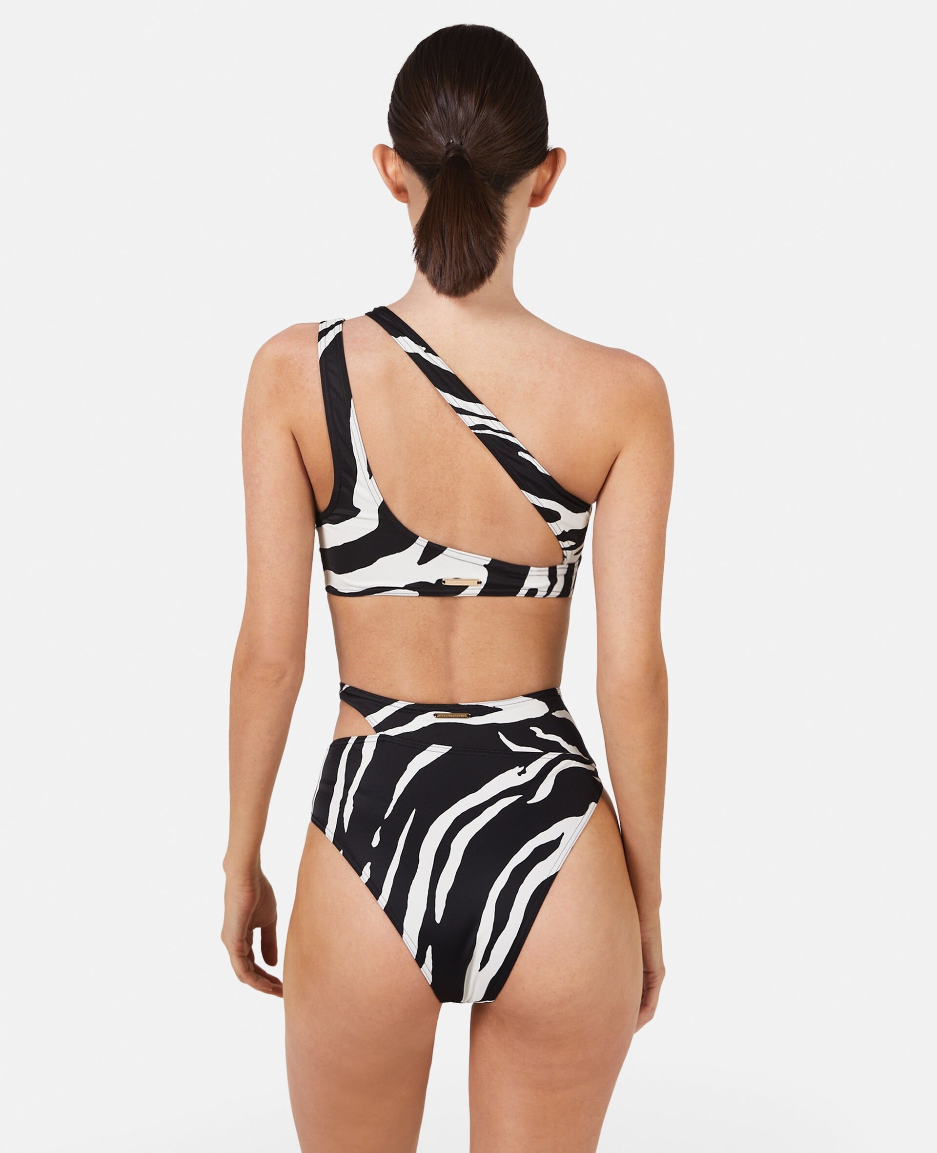 Zebra Print Cut-Out High-Waisted Bikini Briefs - 3