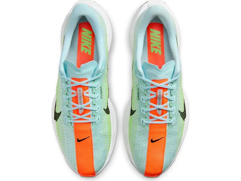 Nike Pegasus Plus - 2