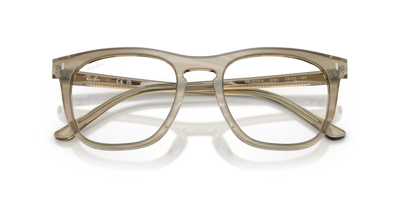 Ray-Ban RB2210V OPTICS CHANGE outlook