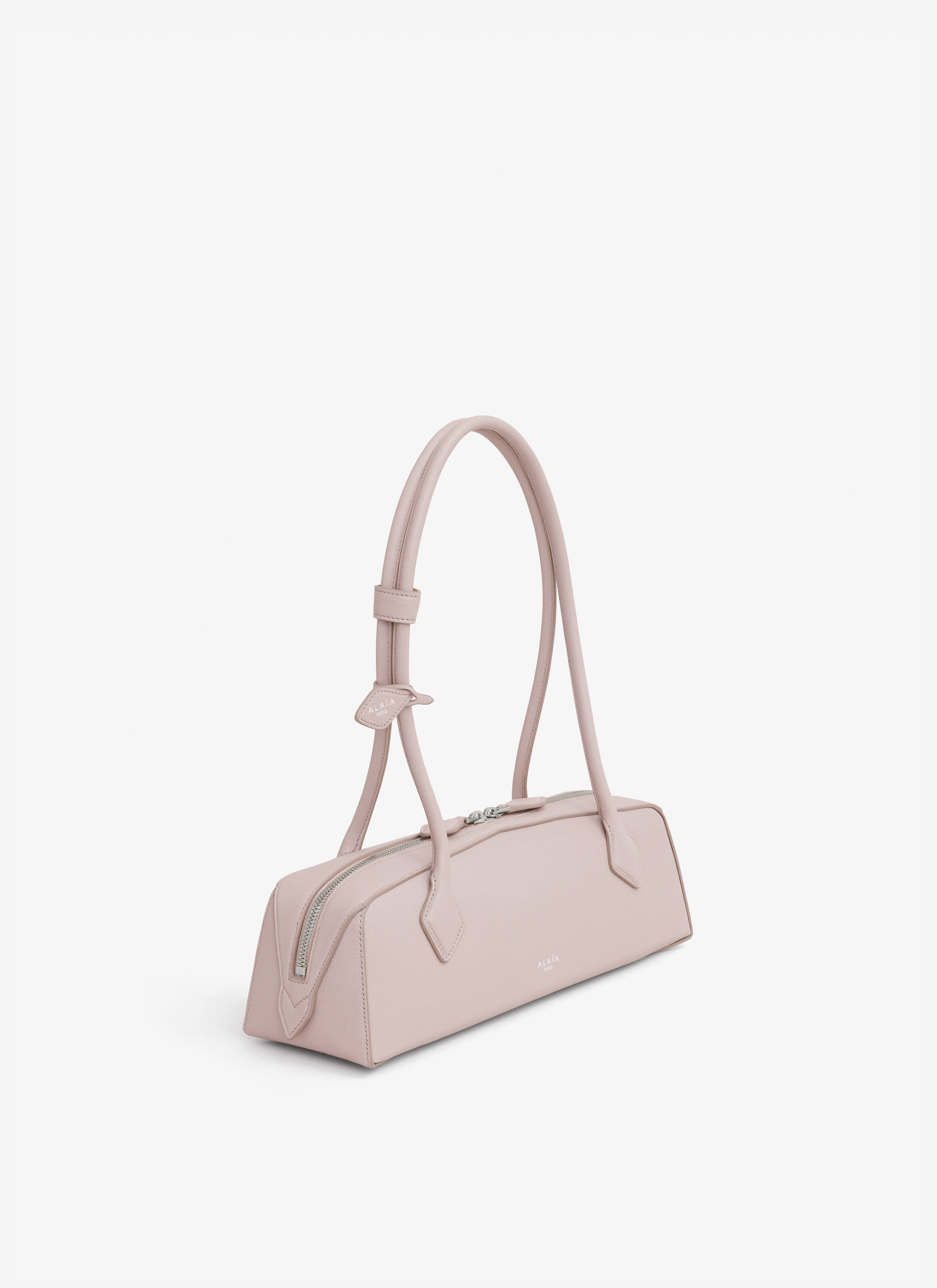LE TECKEL MEDIUM BAG IN SHINY GOATSKIN - 2