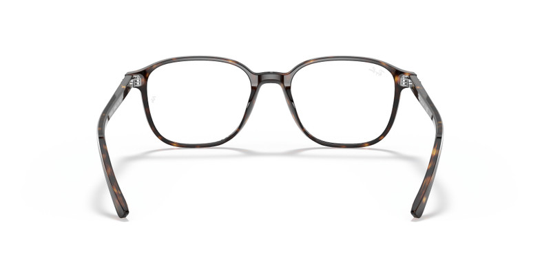 LEONARD OPTICS 6