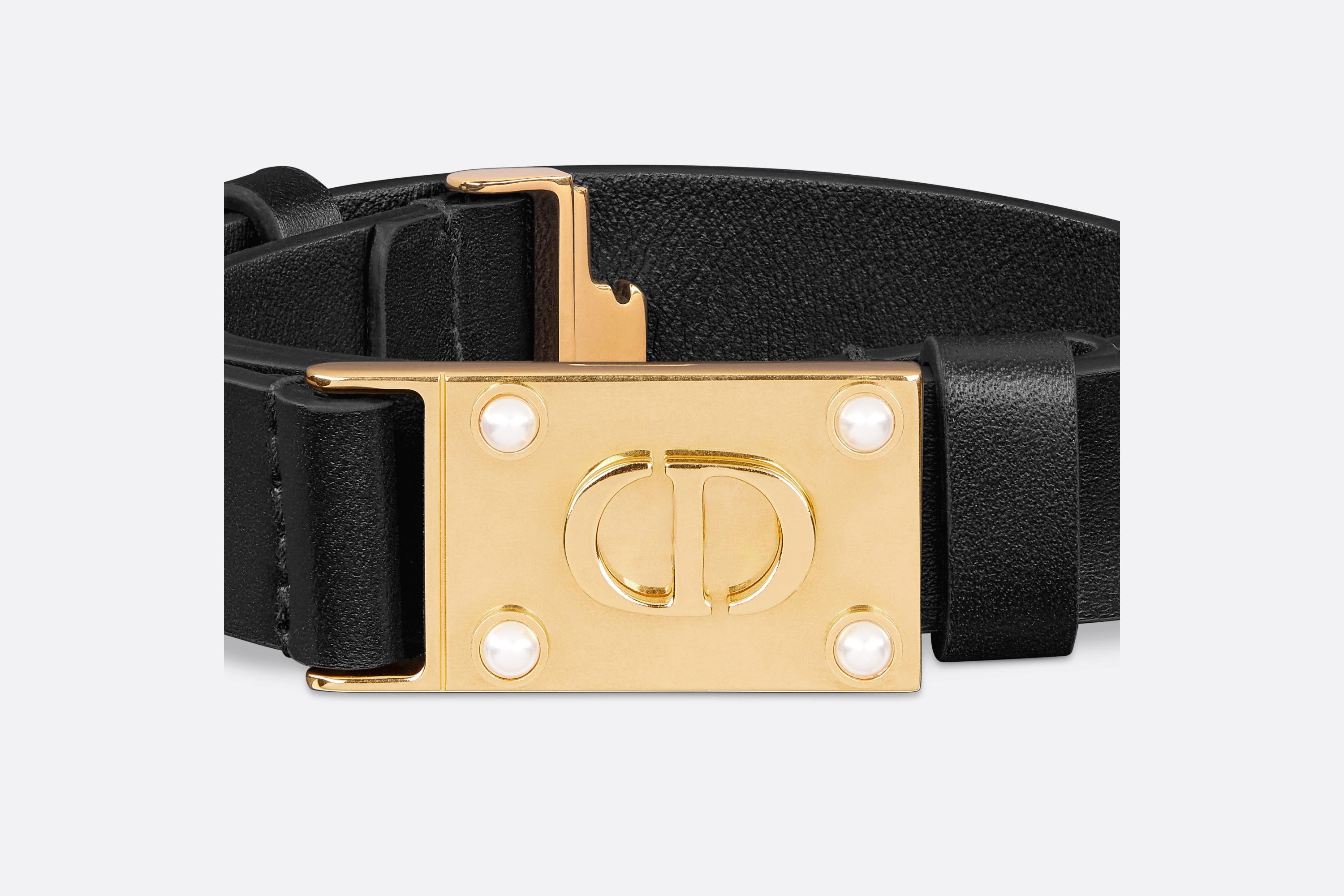 D-Treasure Belt - 6