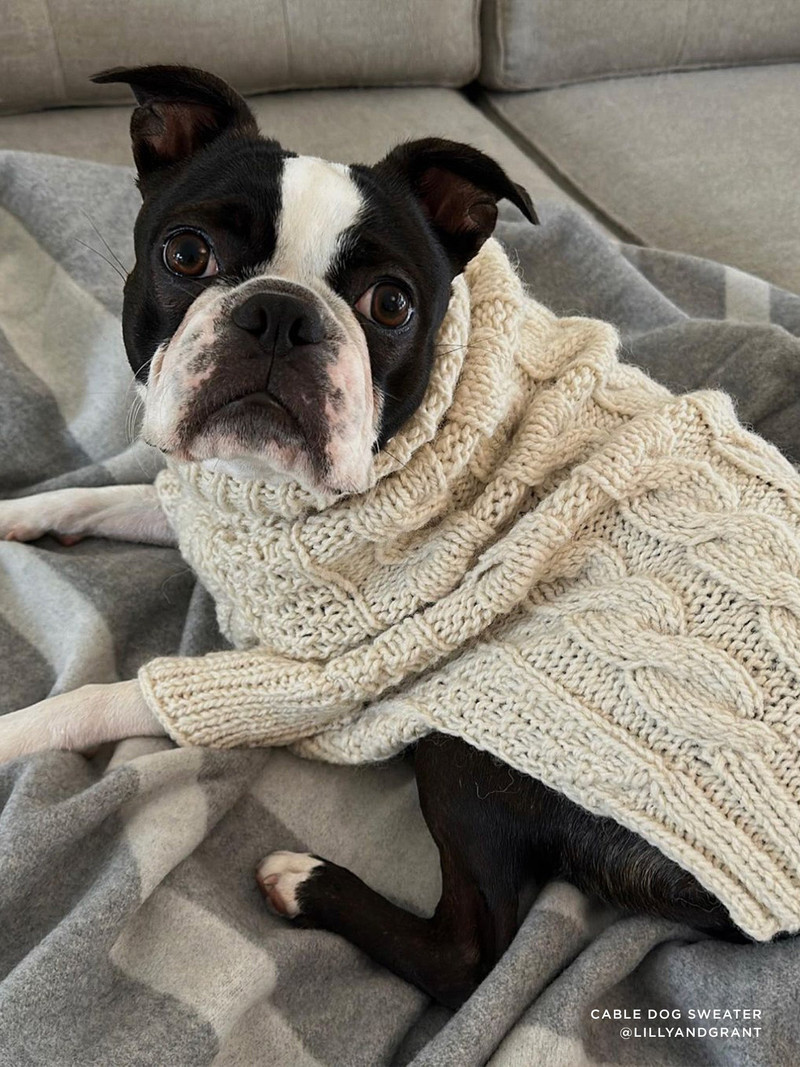 The Cable Dog Sweater 8