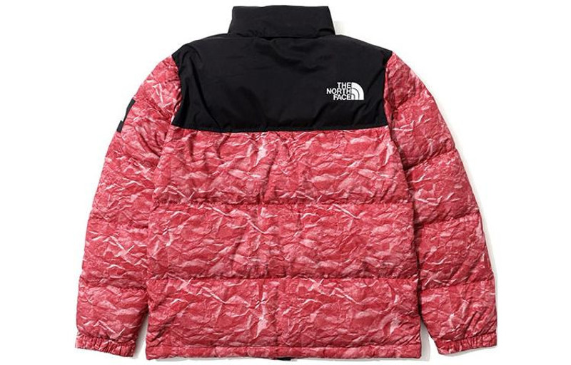 The North Face THE NORTH FACE Novelty Nuptse NJ1DM66L outlook