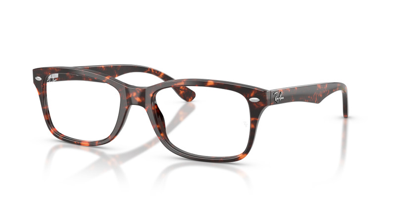 RB5228 OPTICS 1