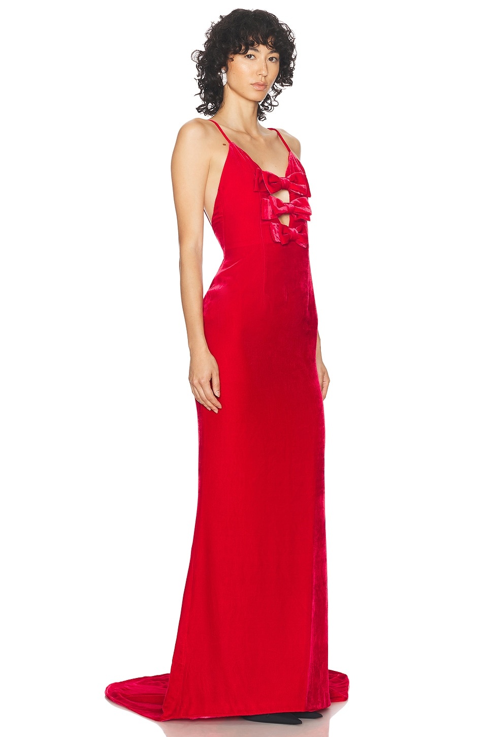 Velvet Gown - 2