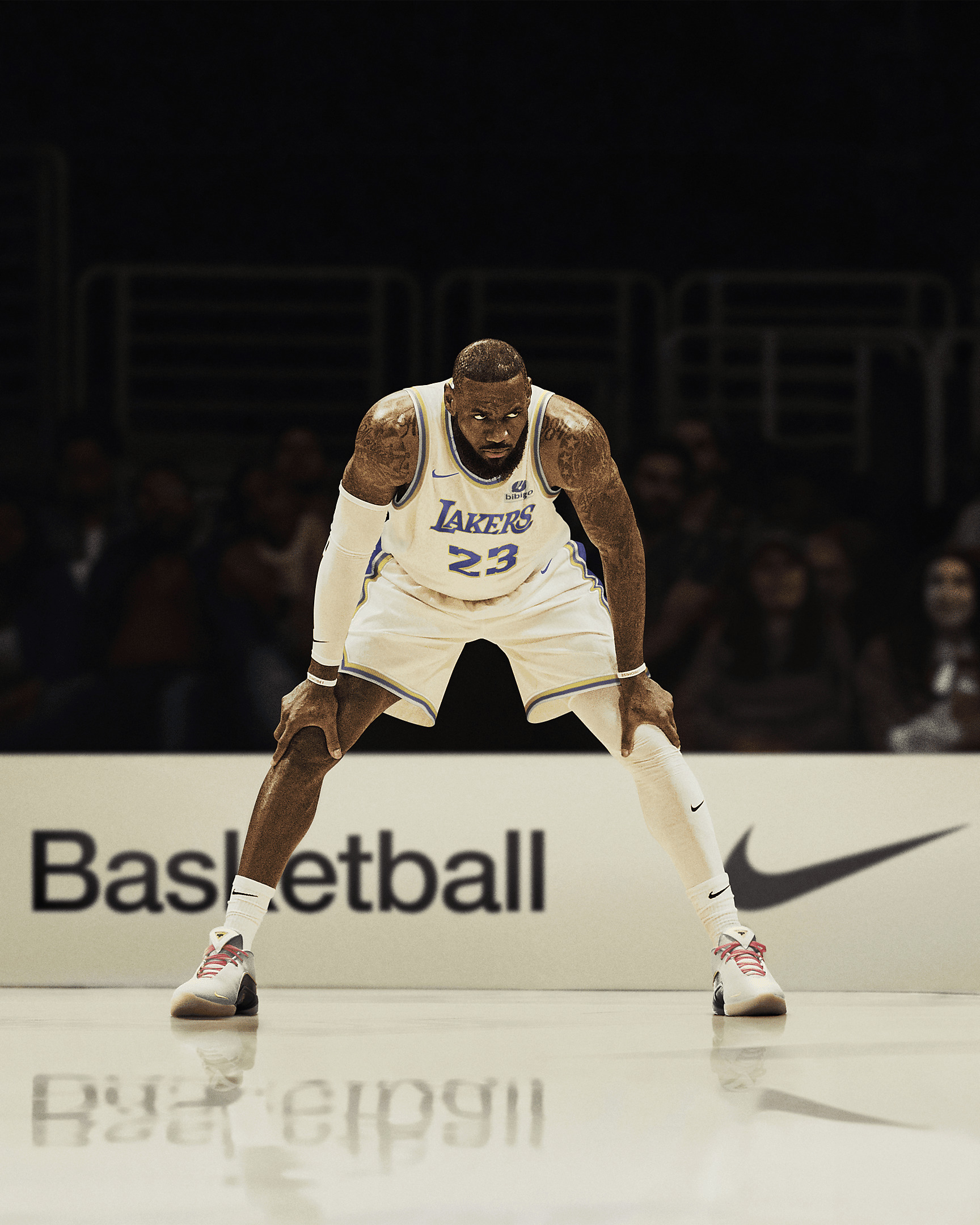 LeBron XXII Basketball Shoes - 12