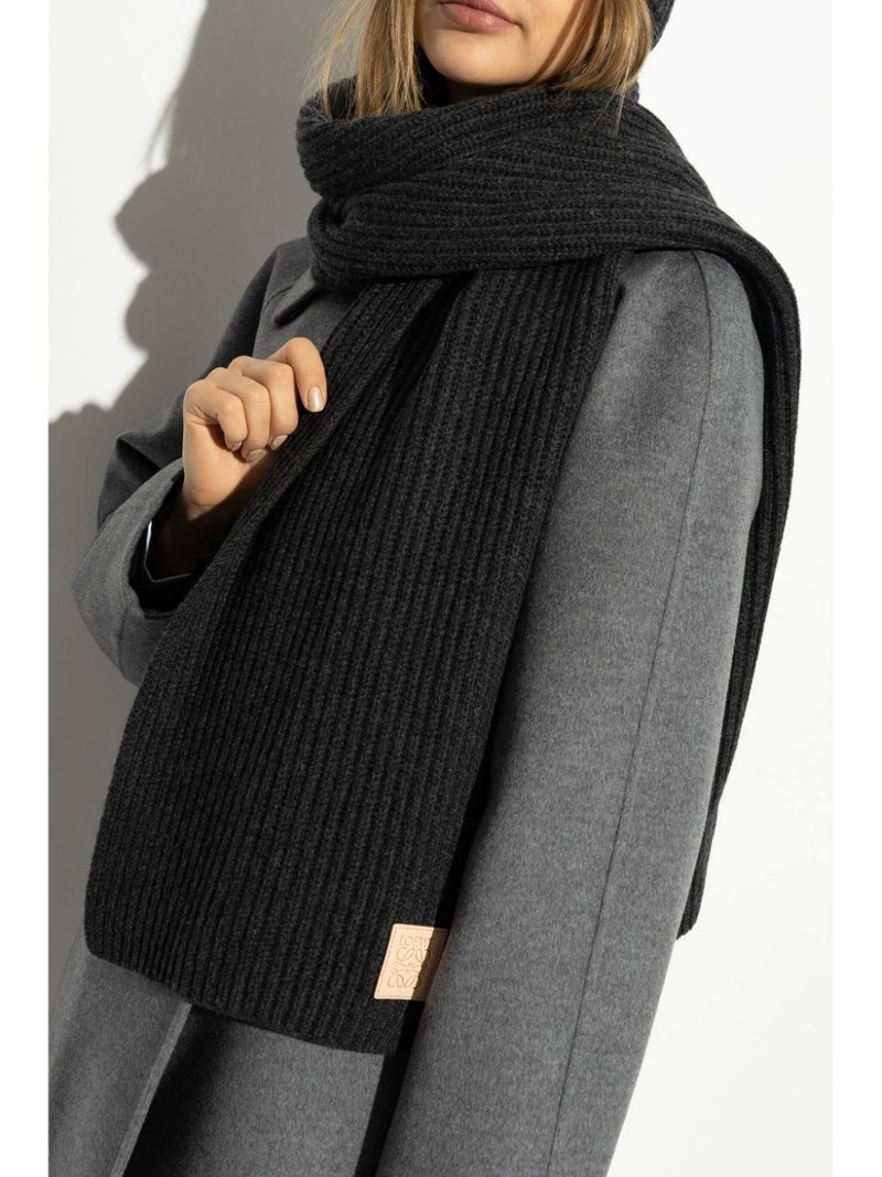Loewe cashmere scarf outlook