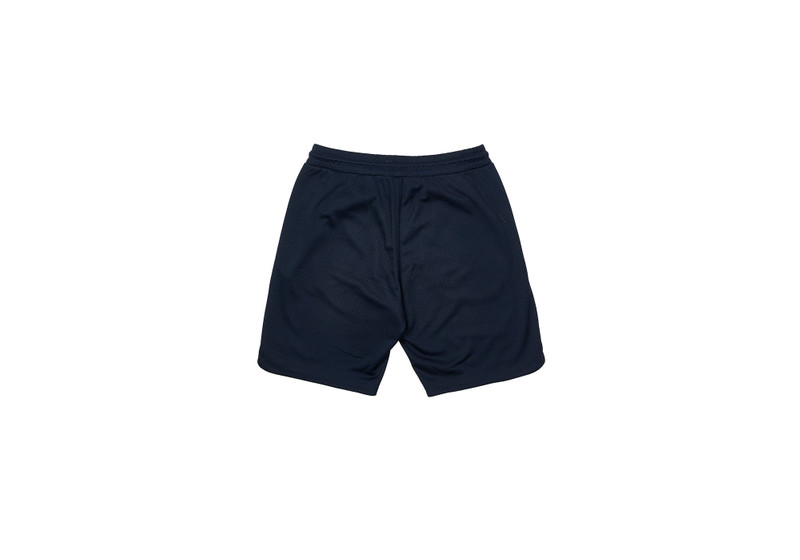 PALACE LOWERCASE FONT SHORTS NAVY outlook