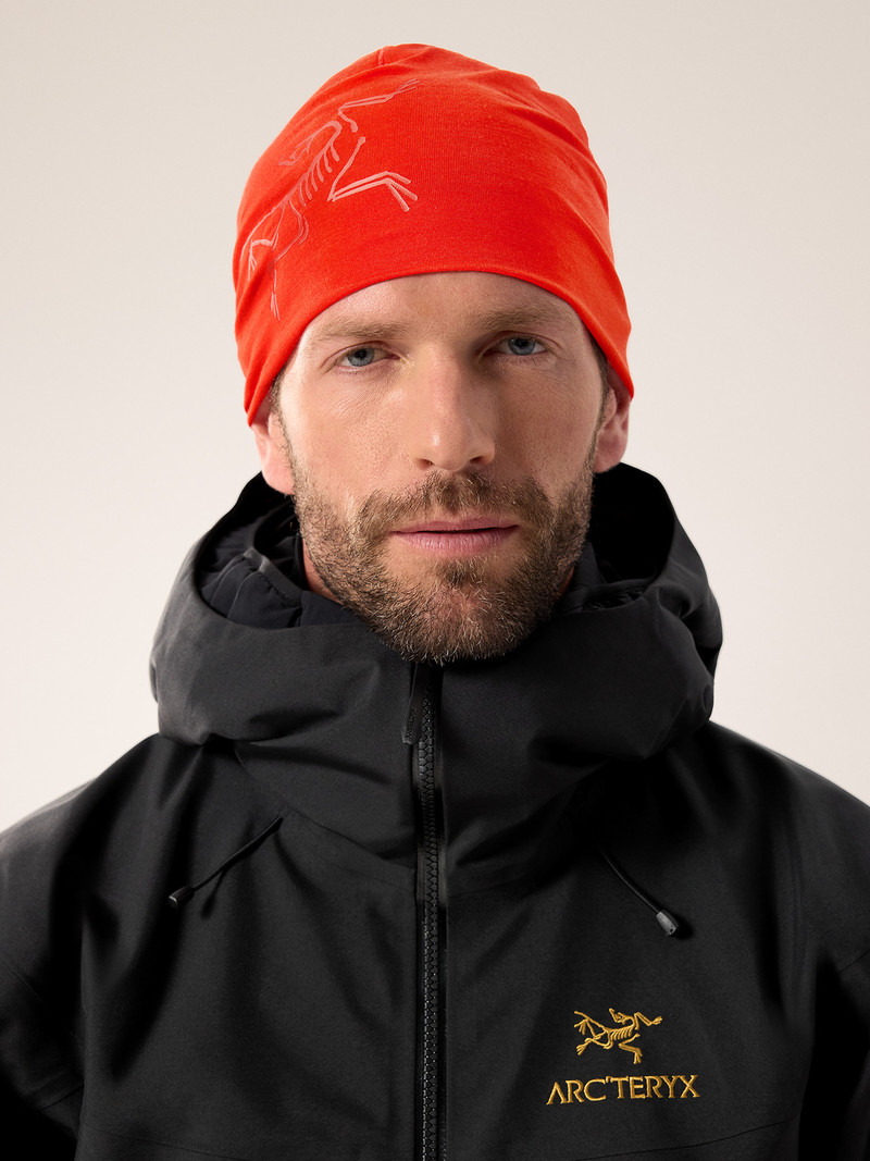 Arc'teryx Satoro Merino Toque outlook