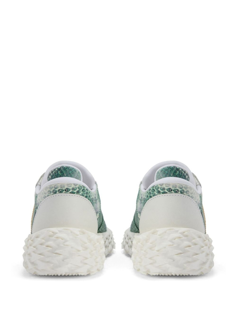 Urchin trainers 3