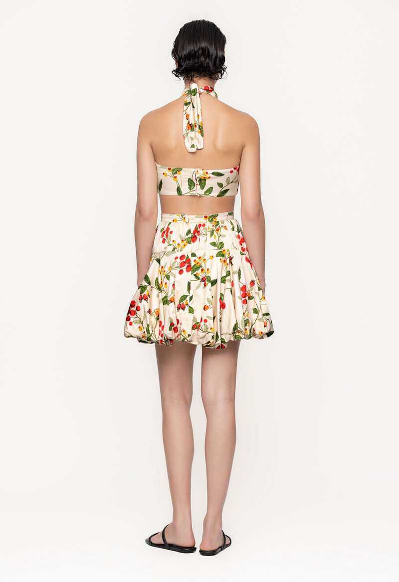 Mulato Frutal Cropped Top 4