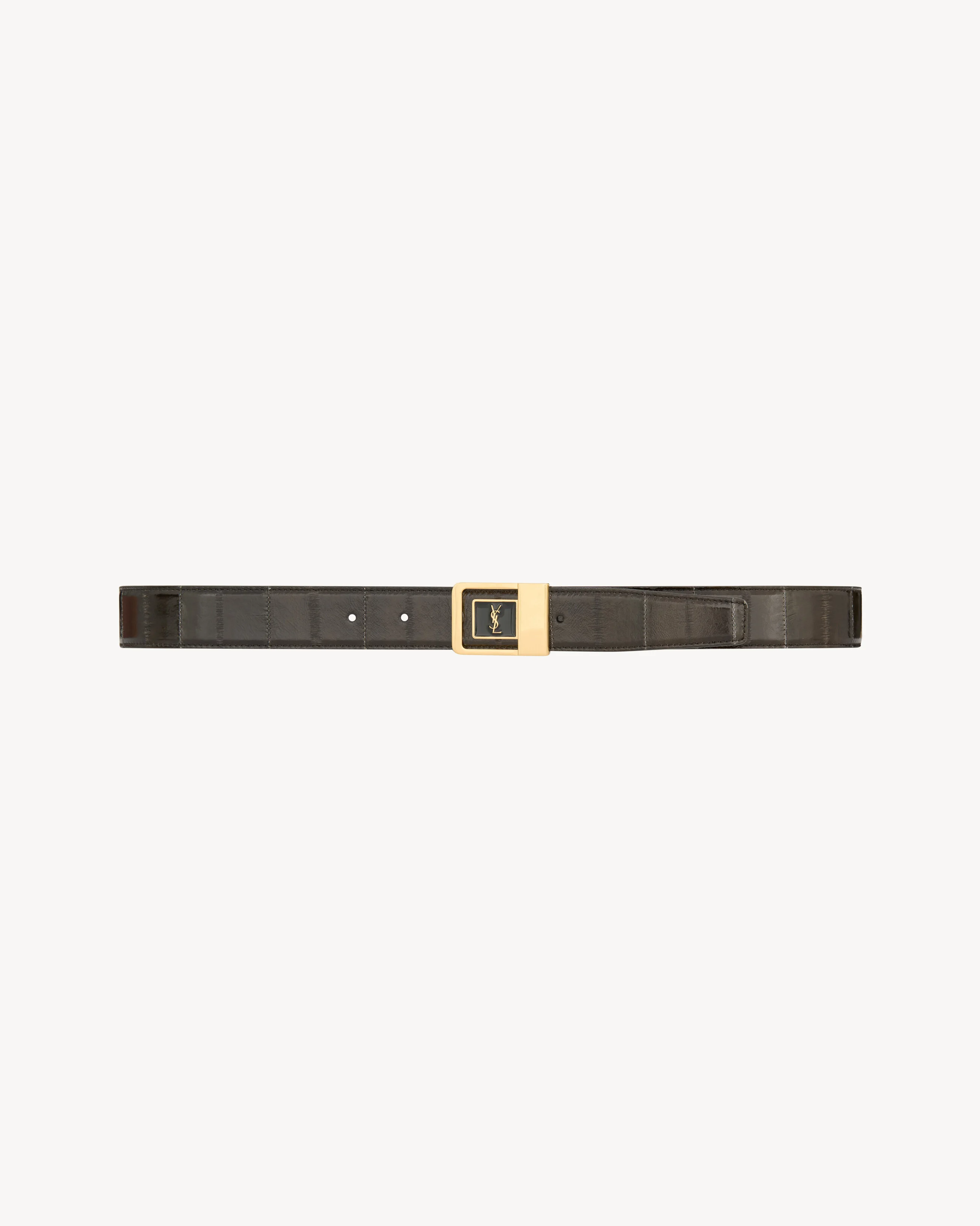 LA 66 BELT IN EEL - 1