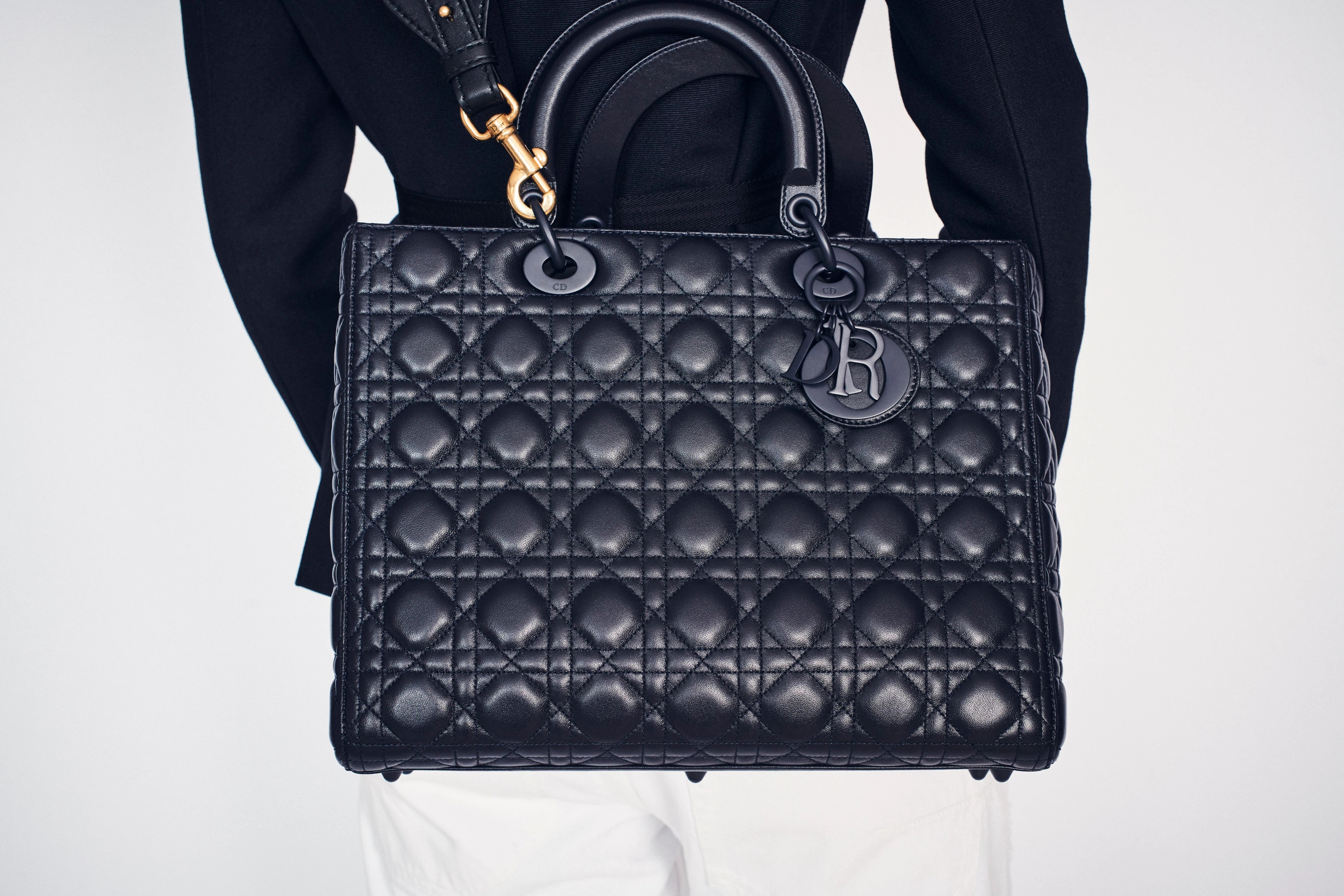 Large Lady Dior Bag - 5