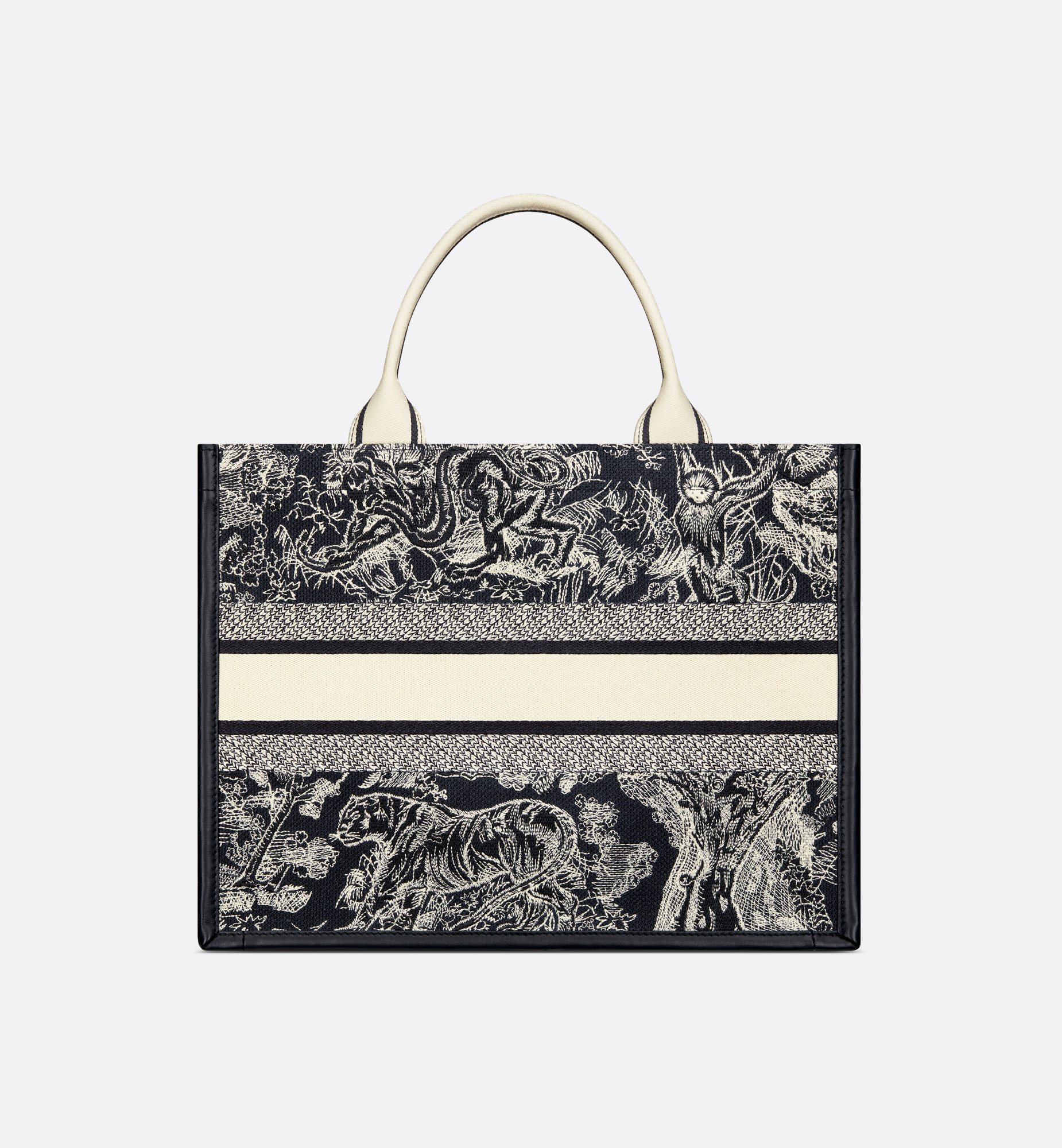 Medium Dior Book Tote - 2