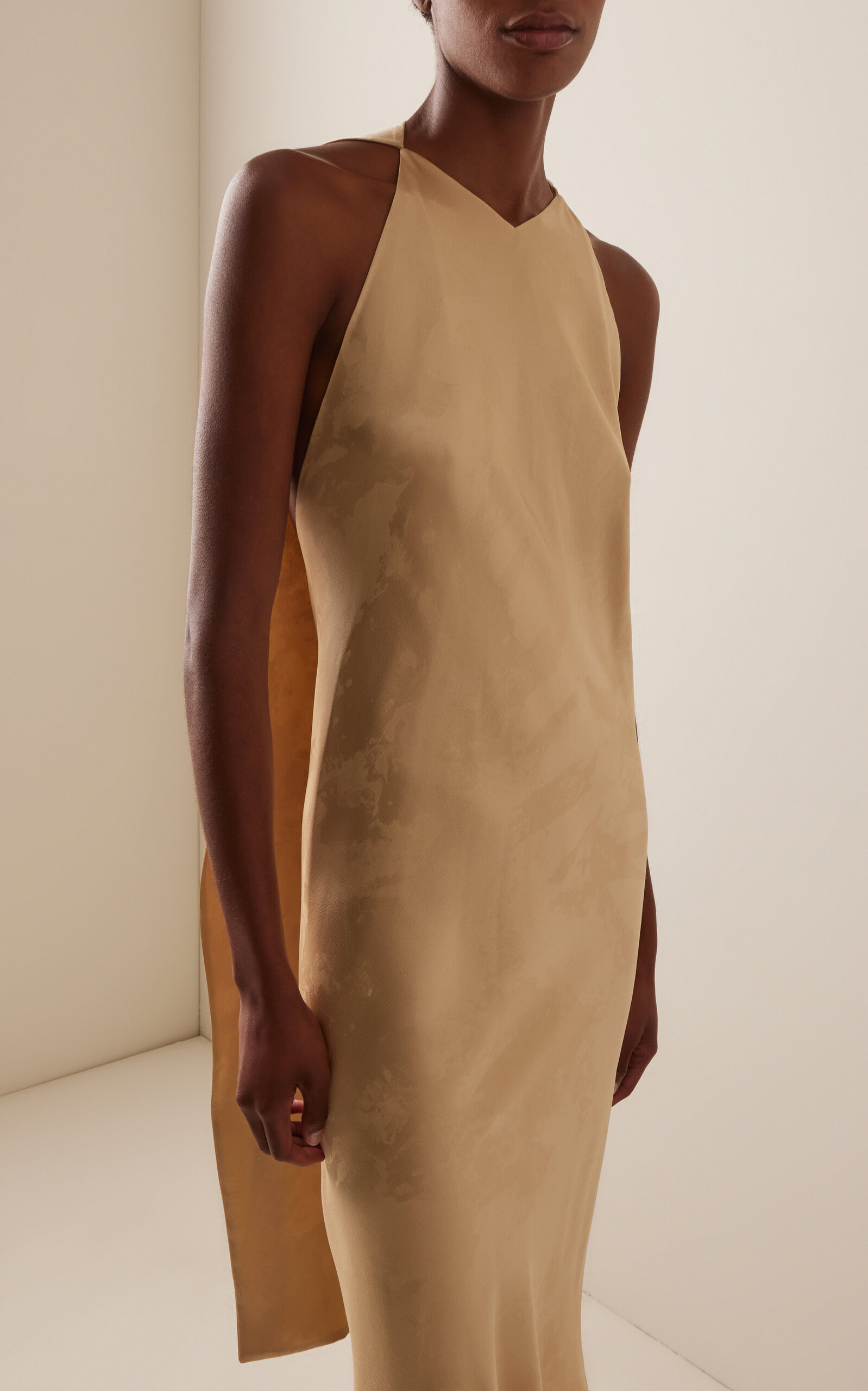 Baras Silk Midi Cape Dress neutral - 3