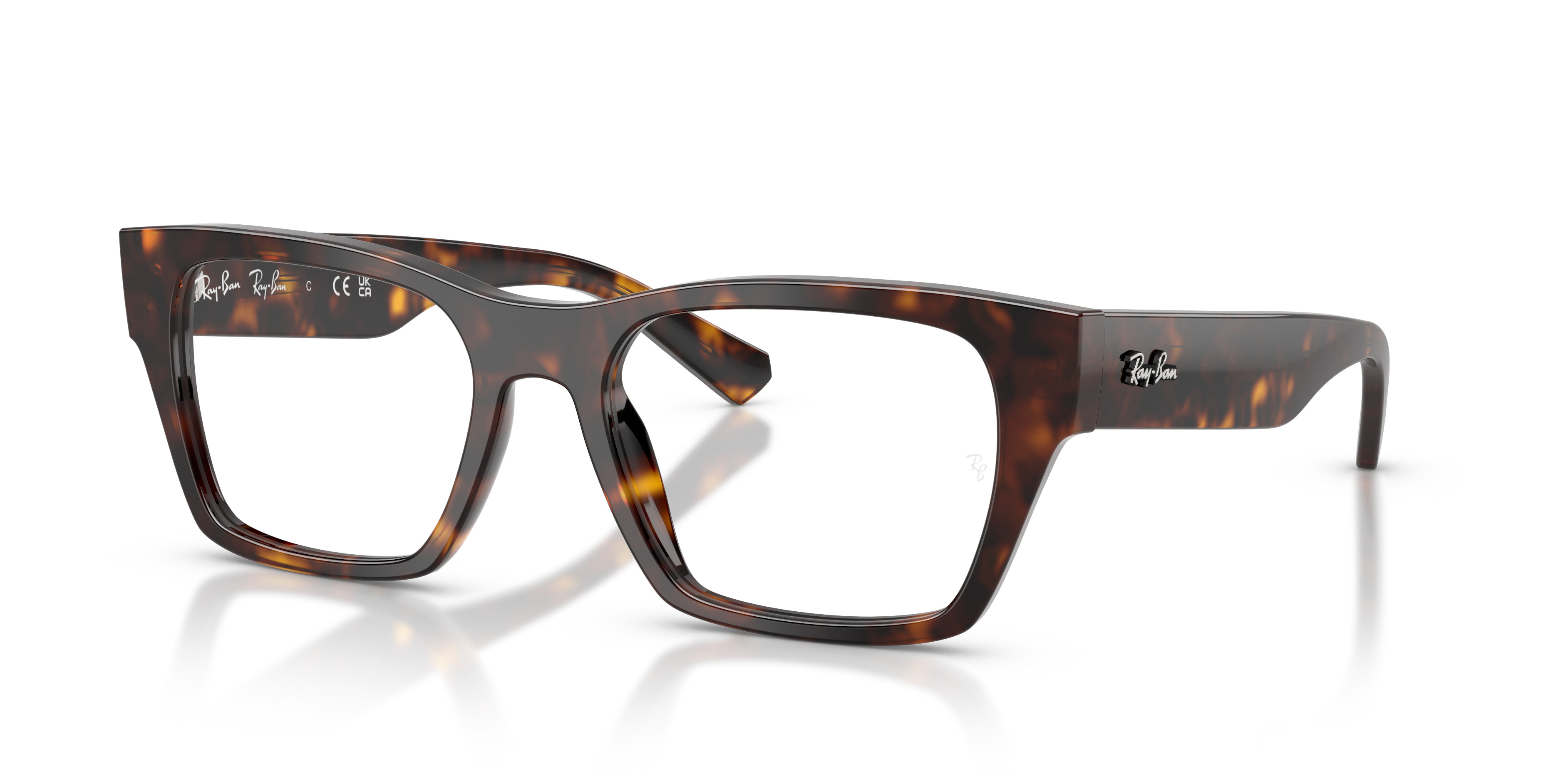 RB5448 OPTICS - 1