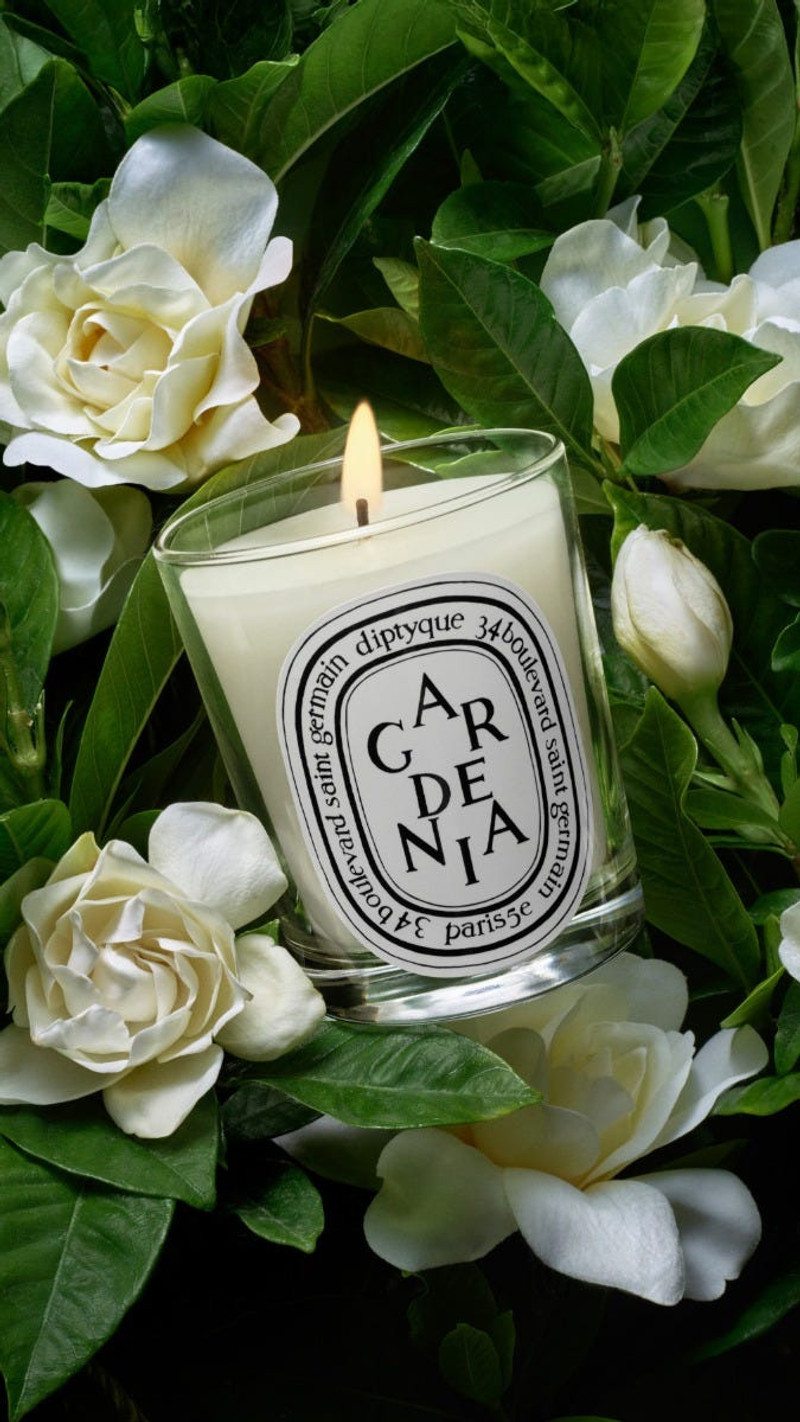 Gardenia - Classic Candle 5