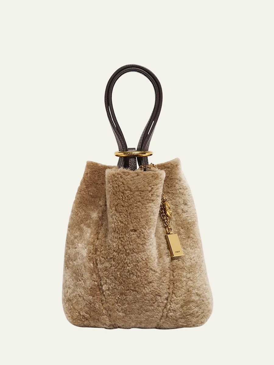 Spin Mini Shearling Tote Bag - 1
