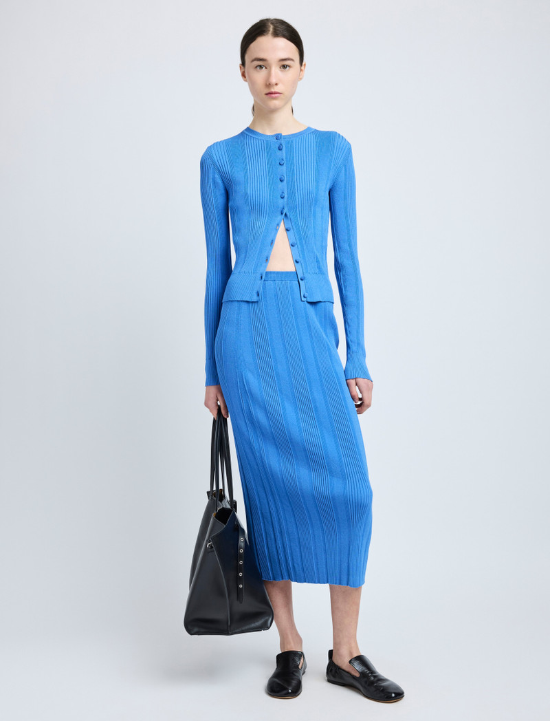 Proenza Schouler Ryanne Skirt in Column Rib outlook